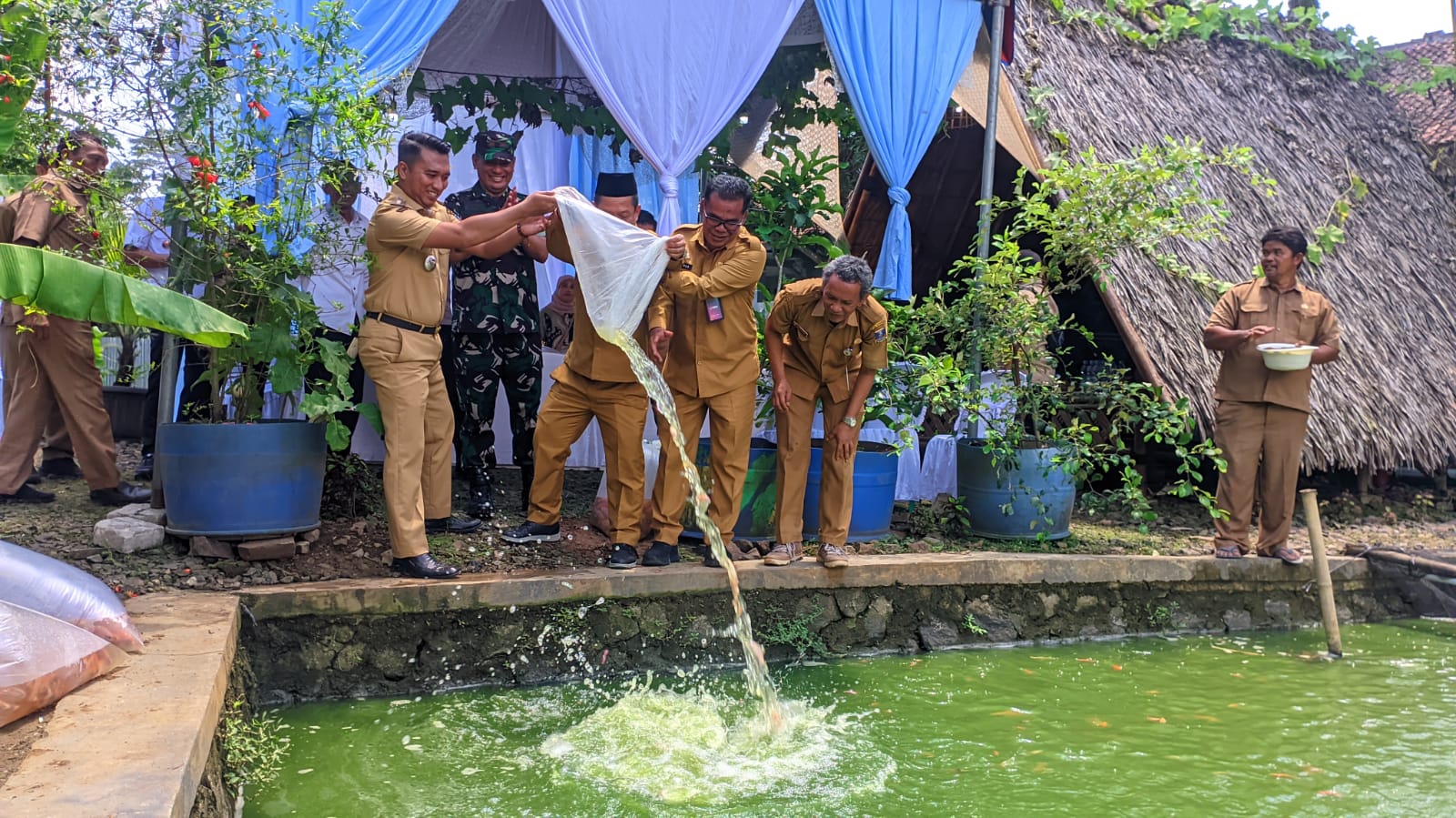 Program Penyaluran Bibit Ikan Air Tawar untuk DUMDes